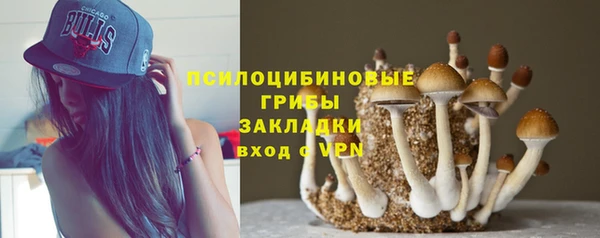 индика Армянск
