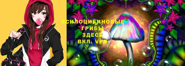 хмурый Балабаново