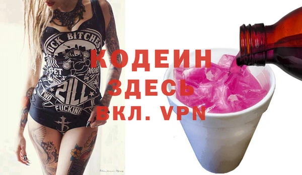 индика Армянск