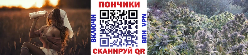 цена наркотик  Болгар  KRAKEN ссылка  Канабис VHQ 